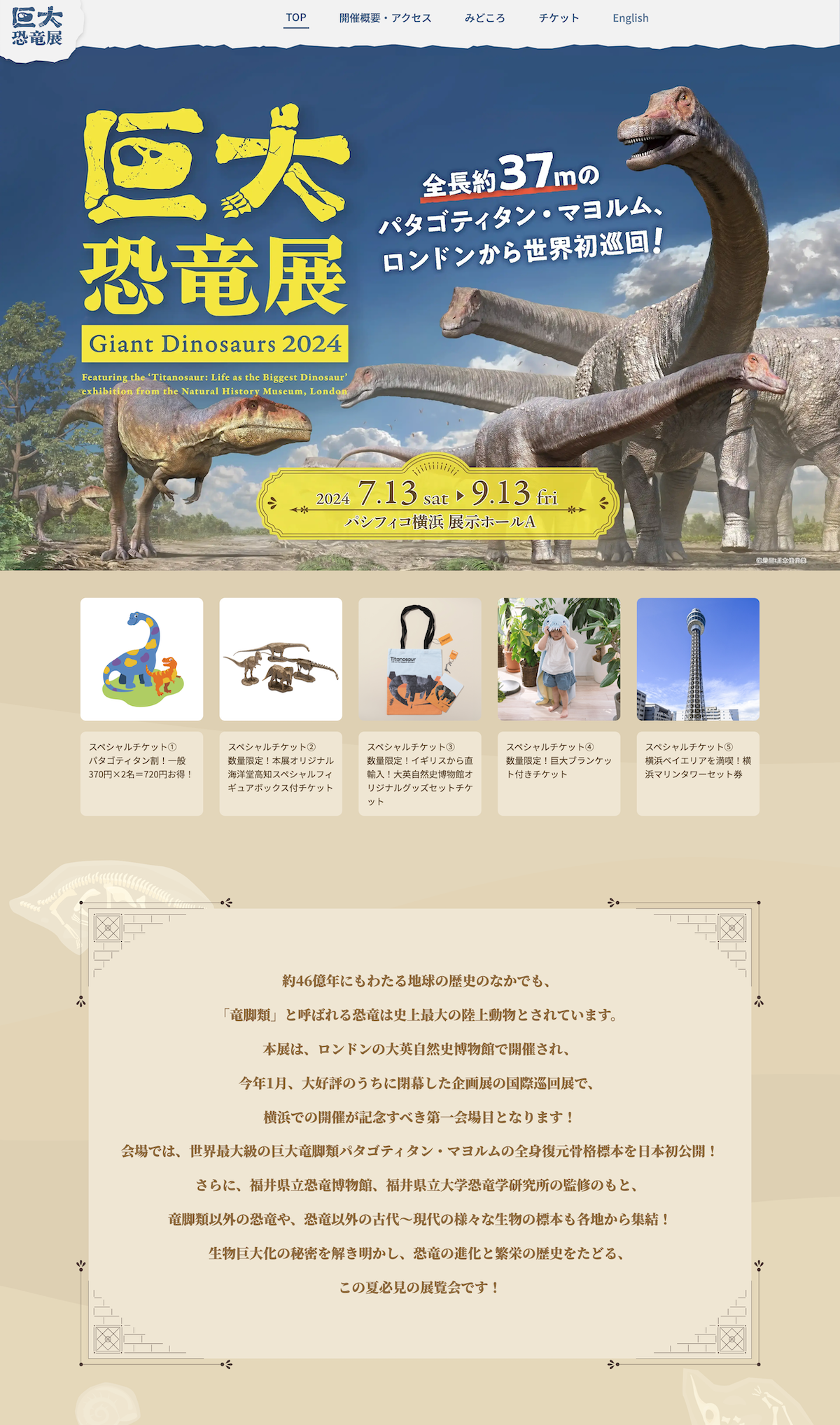 4e0580a14274c531a360b65da1d016